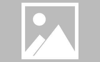 平阳网页设计英文默认字体（网页设置英文转换中文）